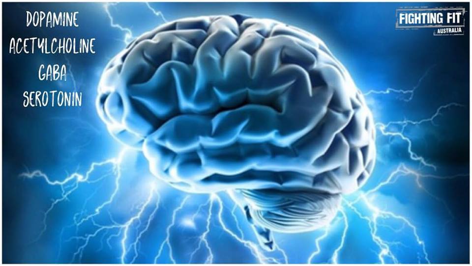 Neurotransmitters Neurotransmitters