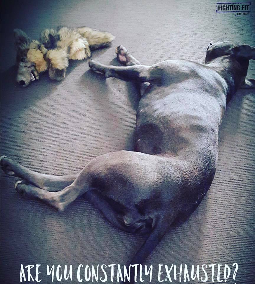 Exhausted Exhausted