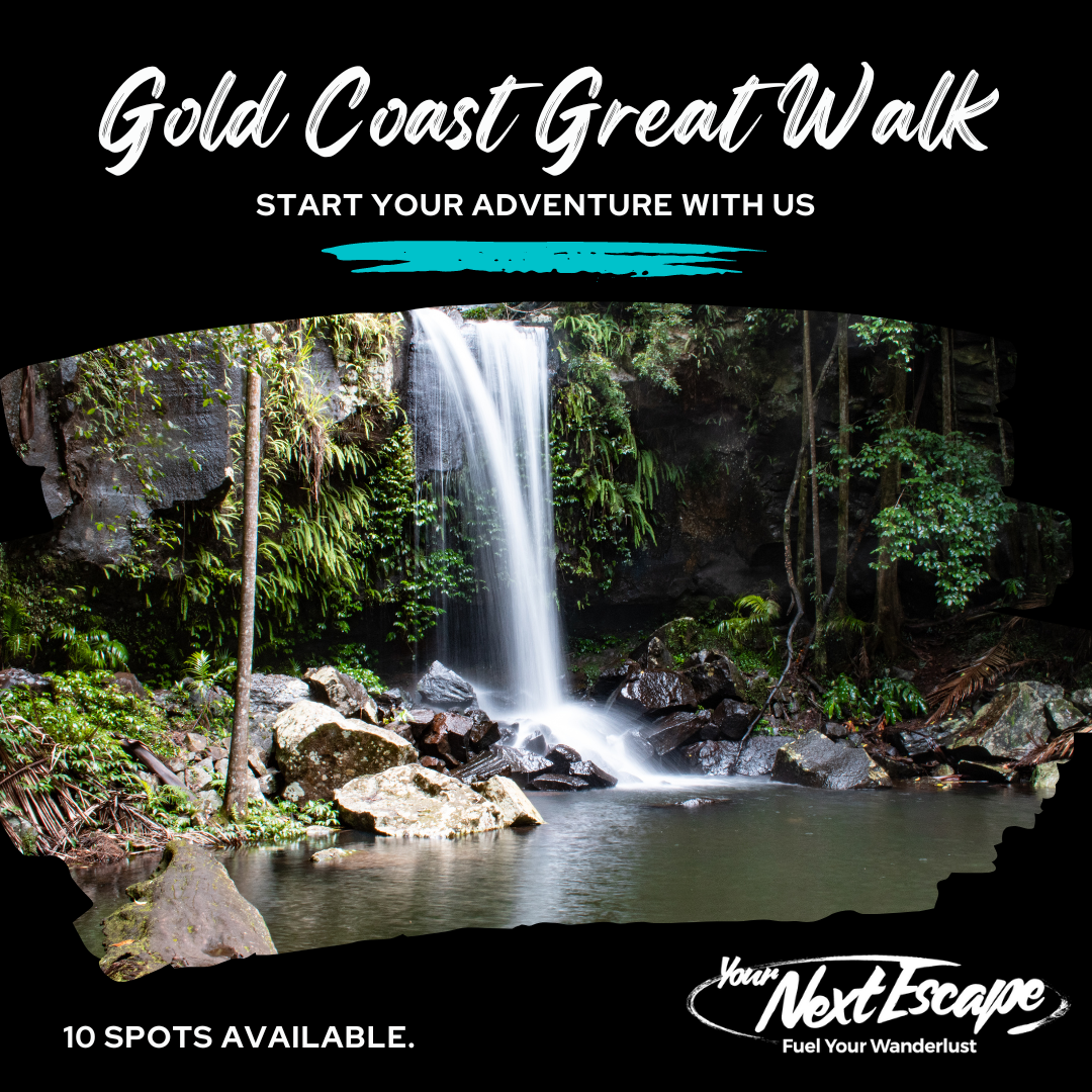 Mint Adventure Journey Flyer (Instagram Post (Square))
